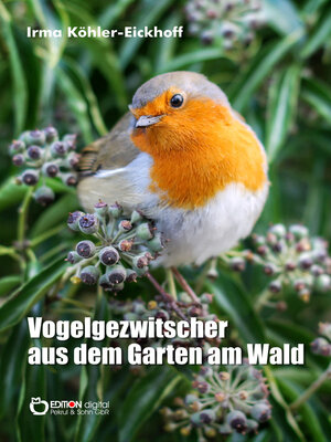 cover image of Vogelgezwitscher aus dem Garten am Wald